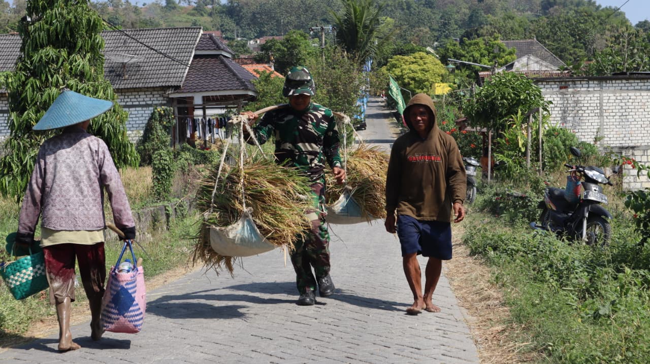Sentuhan Humanis: Lepas Penat, Anggota Satgas TMMD ke 129 Bahu-Membahu Angkut Hasil Panen Warga Desa Tlemang