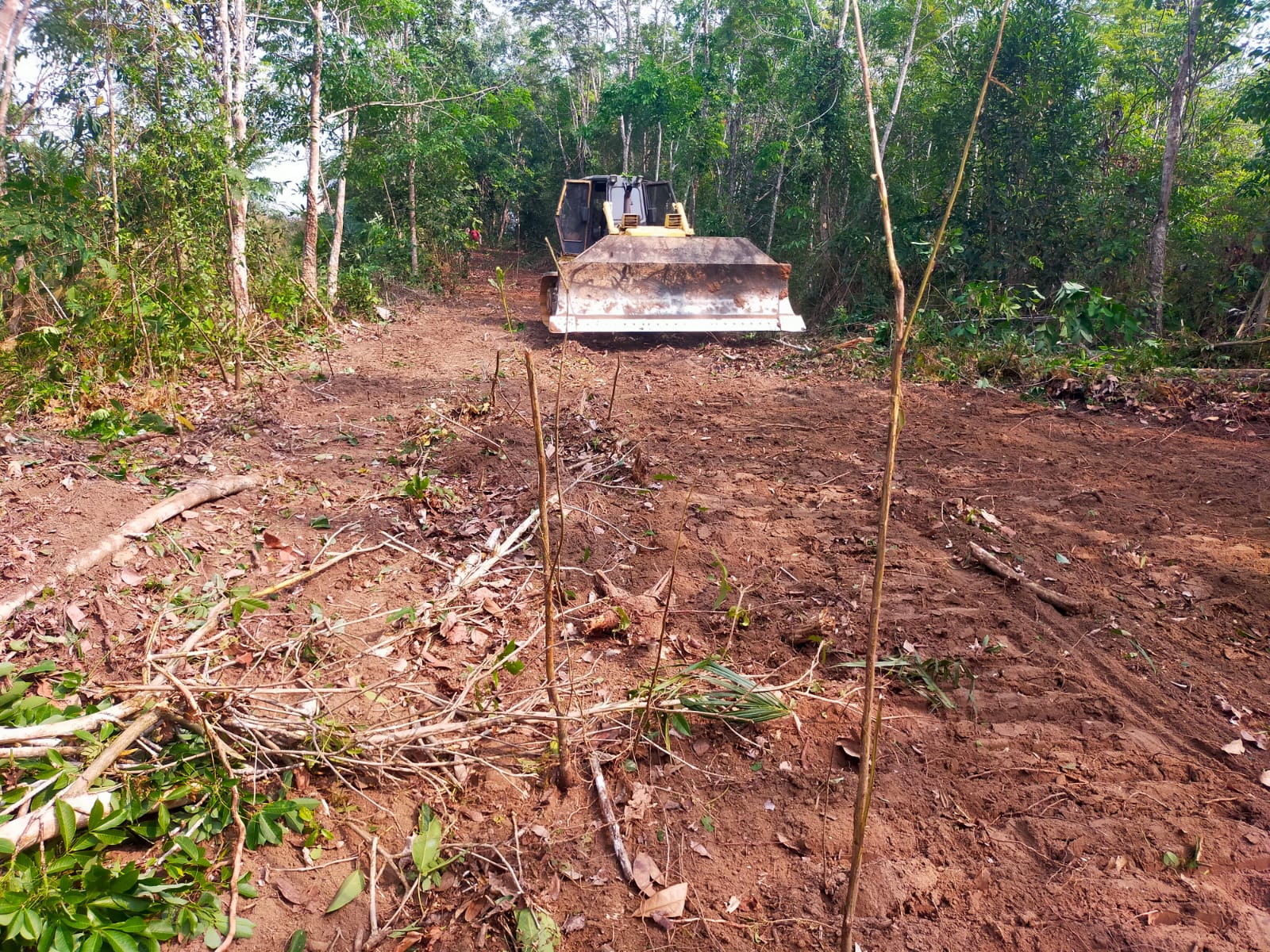 Pembukaan Jalan di Way Kanan Dorong Pembangunan Ekonomi dan Akses Masyarakat