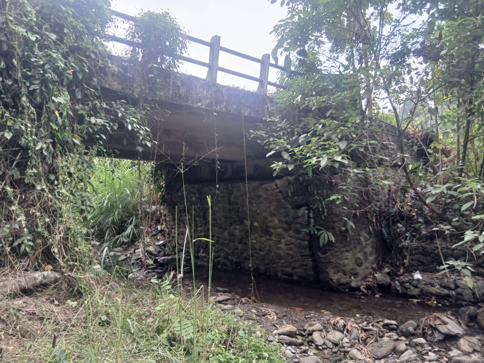 Pembangunan Jembatan Baru di Luwu Timur Jawab Harapan Warga Dusun Kelapa Dua